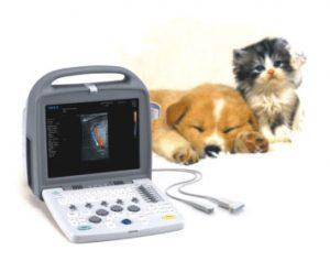 ecografo-portatil-veterinario-siui-proveeduria-medica-apogee
